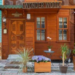 Wonder Wood Hotel in Istanbul