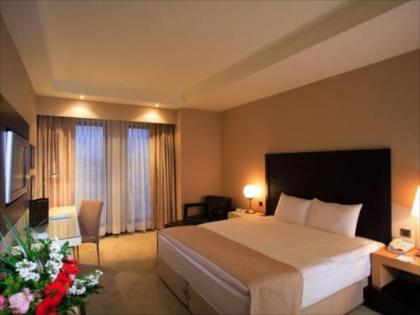 Holiday Inn Istanbul Airport Hotel - image 11