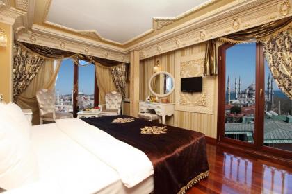 Deluxe Golden Horn Sultanahmet Hotel - image 1