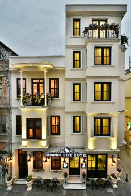 Istanbul Life Hotel - image 1