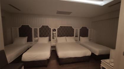 Mister Istanbul Hotel - image 20