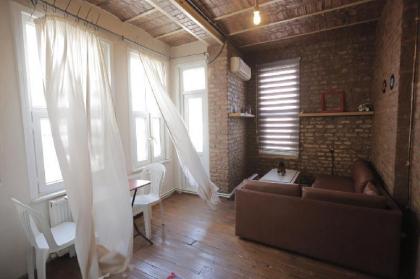 Near to Taksim Square  1 BR Rustic House - image 3