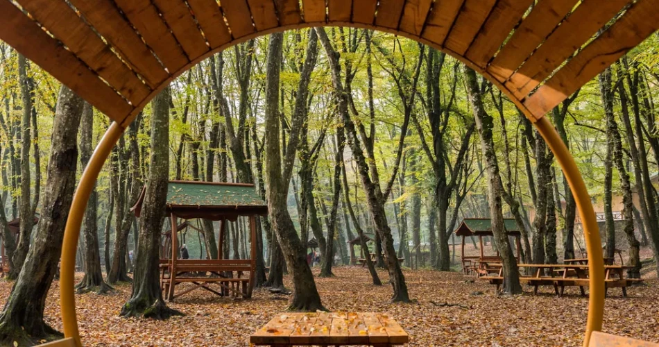 Top 15 Things To Do In Istanbul