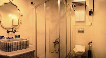Merial Hotel - image 24