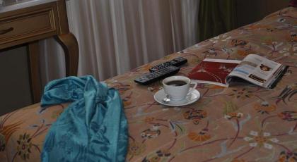 Merial Hotel - image 30