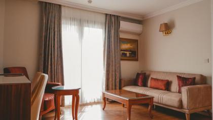 Premier Vista Hotel - image 28
