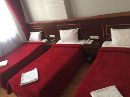 Red White Hotel - image 27