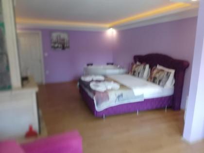 Alesta Butik Otel - image 29