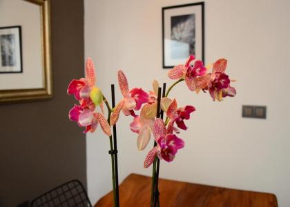 Xenia Hotel Taksim - image 24