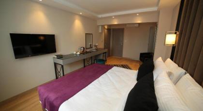 The Roomy Hotel Nisantası - image 28
