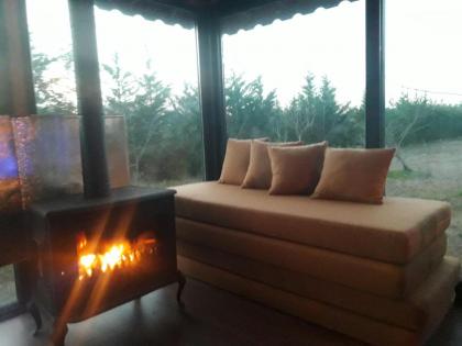 Vira Garden House - image 24