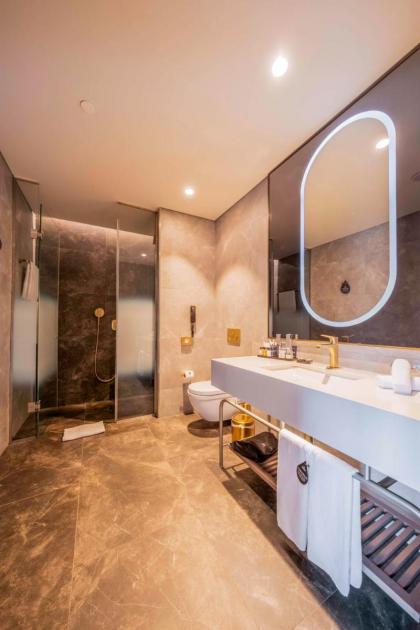 Radisson Collection Hotel Vadistanbul - image 26