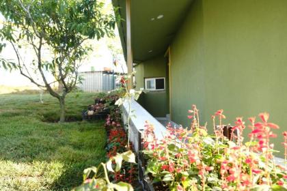 FOREST BLUE BEACH OTEL - image 11