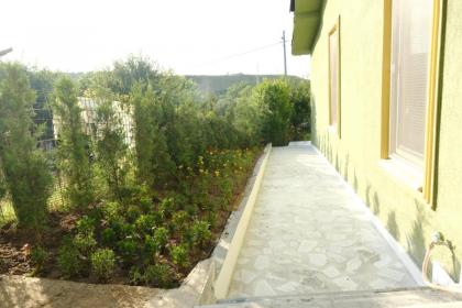 FOREST BLUE BEACH OTEL - image 20