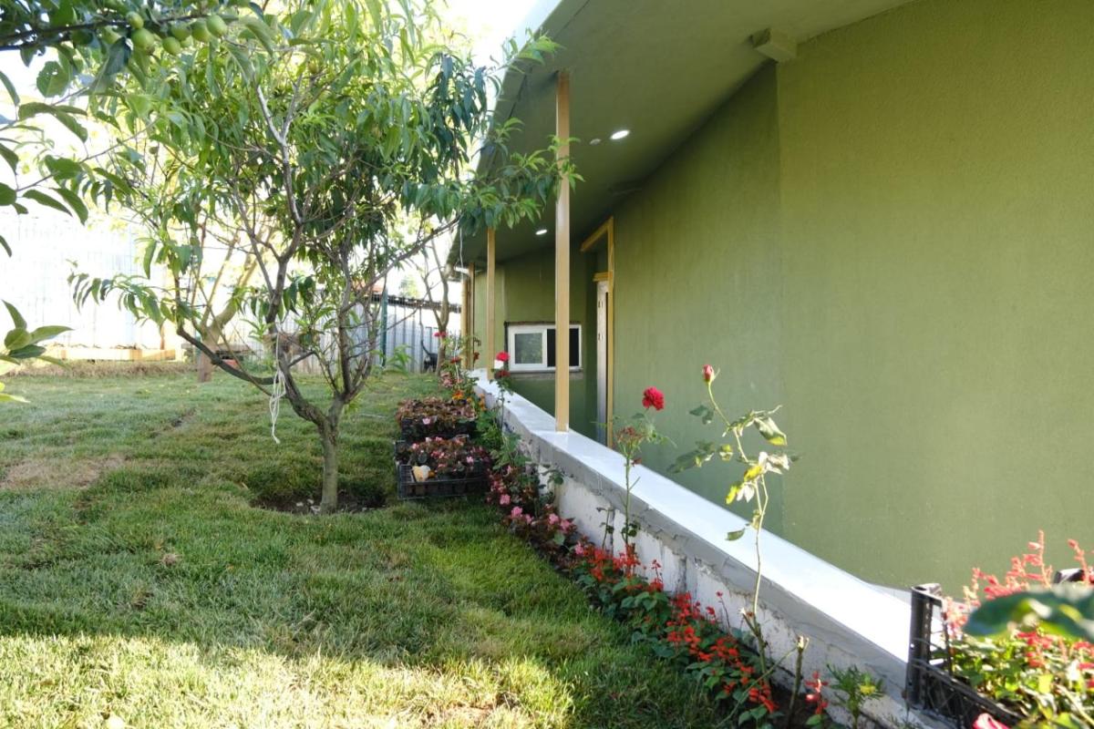 FOREST BLUE BEACH OTEL - image 4