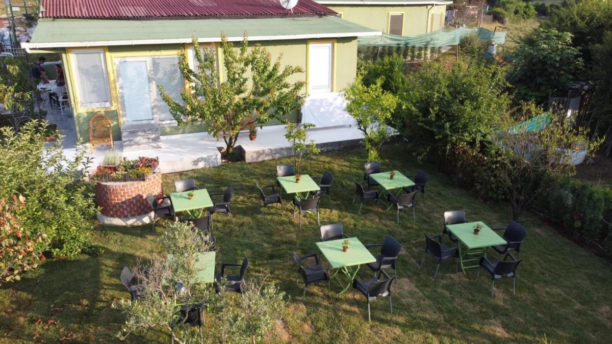 FOREST BLUE BEACH OTEL - image 6