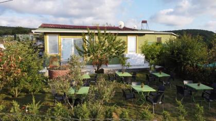 FOREST BLUE BEACH OTEL - image 7