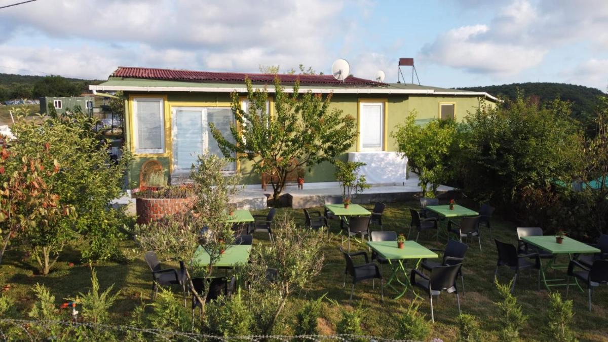 FOREST BLUE BEACH OTEL - image 7