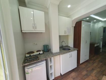 sea star duran apart - image 24