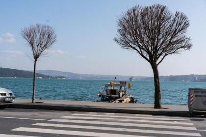 The Spectacular 3 Bedroom House by the Bosphorus - image 26