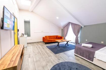 Arena Luxury Hotels - image 25