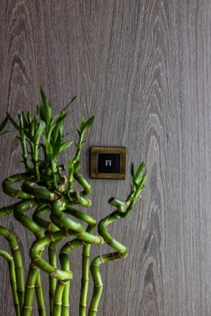 The Maestro Hotel - image 25