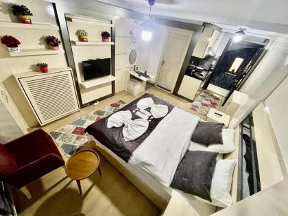Taksim center luxury hotel - image 29