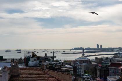 Çetinluxuryhome - image 25