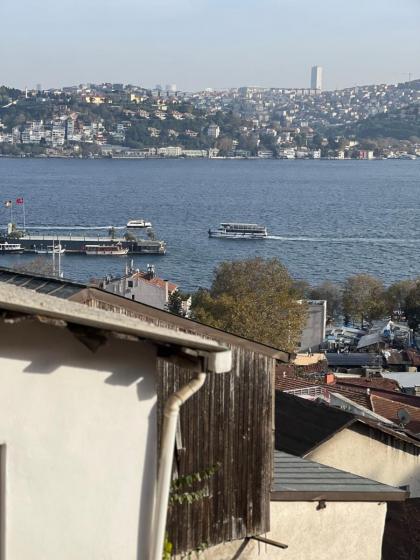 Bosphorus view Lux willa - image 21