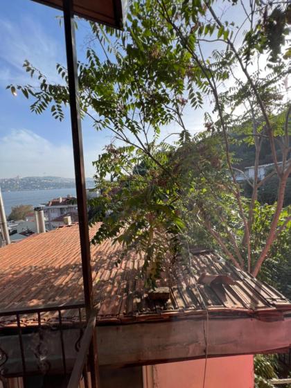 Bosphorus view Lux willa - image 26