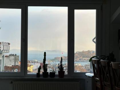 View Near Istiklal Street at Galatasaray - image 21