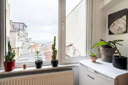 View Near Istiklal Street at Galatasaray - image 25