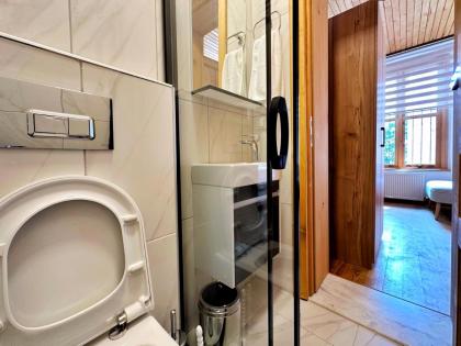 Refurbished Triplex in Taksim - image 25