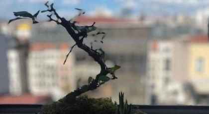 Ufuk Hotel - image 24
