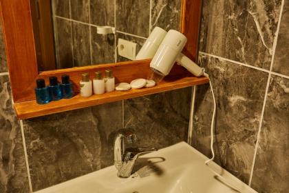 Sabina Hotel - image 23